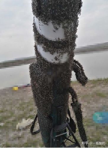 假如把一个人放到蚊子窝里,会不会血干而亡?