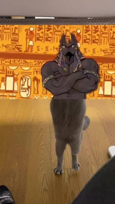 全网都没见过的阿努比斯下半身来了