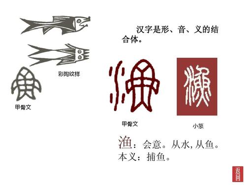 彩陶纹样 甲骨文 甲骨文 小篆 渔:会意.从水,从鱼. 本义:捕鱼.