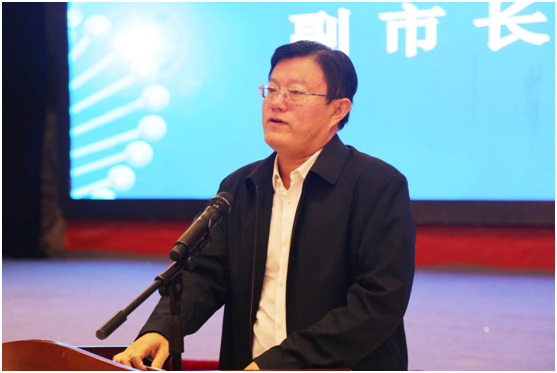 阜阳市人民政府副市长 李红