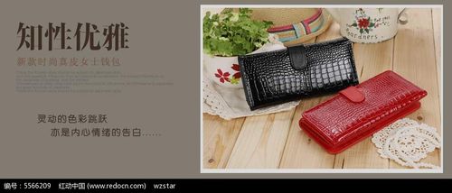 钱包网站banner