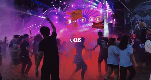 溧阳迷笛音乐节_音乐节_焦尾琴公园自由行热门攻略_火车_舞蹈_pogo