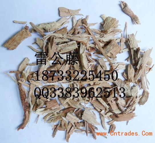 解毒杀虫治疗风湿性关节炎【雷公藤】又名【黄藤根】