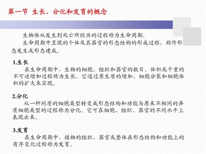营养生长与生殖生长的相关.ppt