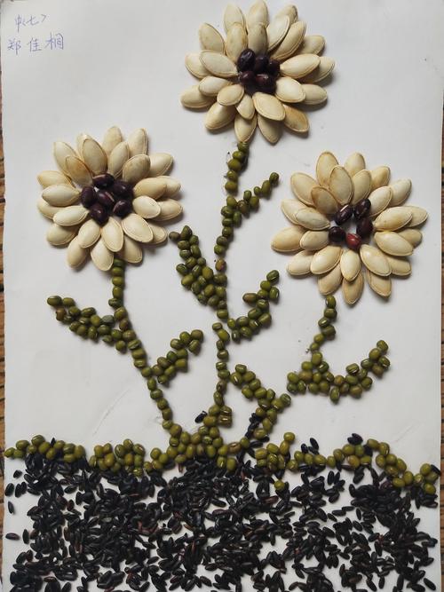 其它 树叶贴画 写美篇 快来找找自己的贴画吧 种子贴画,美美哒