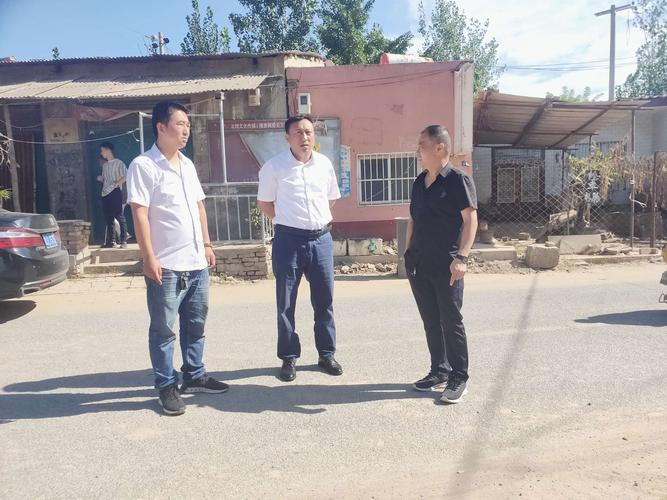 镇党委书记高红旗苏堤村查看整村提升工作
