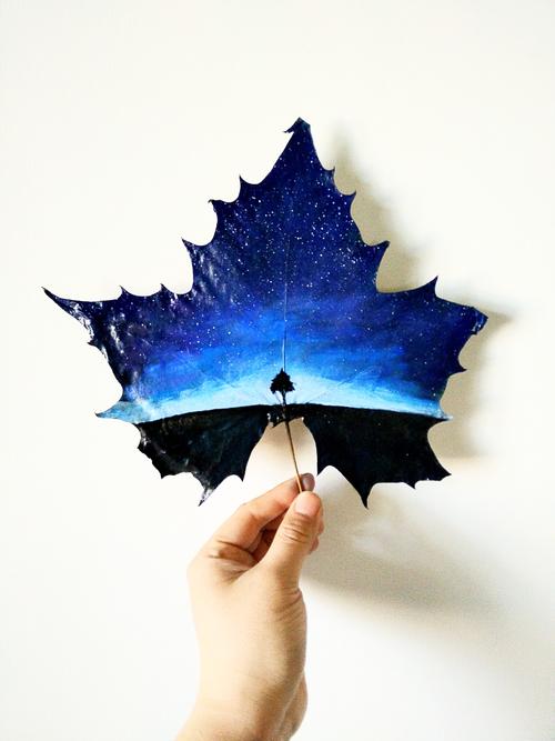 叶子上的星空|纯艺术|其他艺创|wolfskin - 原创作品