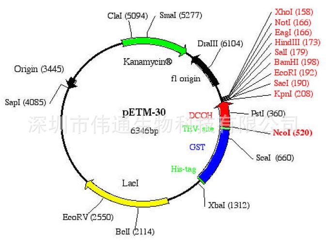 petm30图谱 序列 价格 抗性 大小详细信息