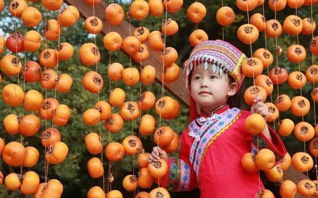 成行【恭城月柿节】10.