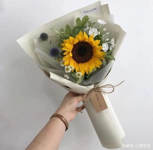 推荐|10种适合送给男朋友的鲜花