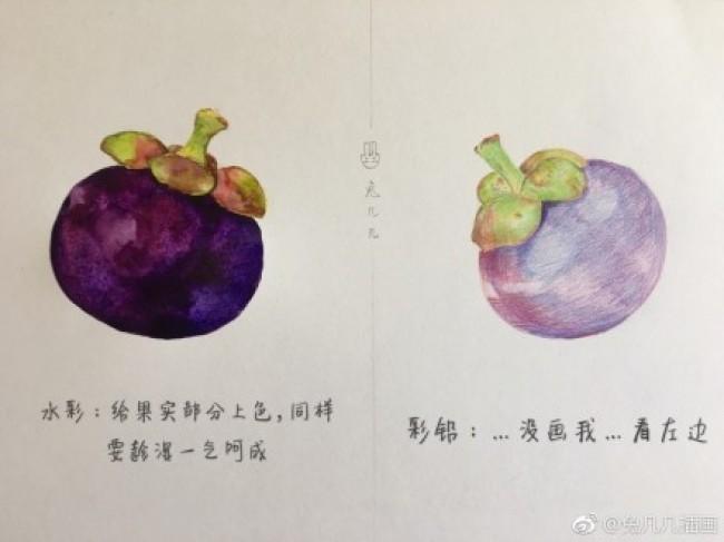 水果皇后山竹彩铅水彩画图片山竹水彩手绘教程