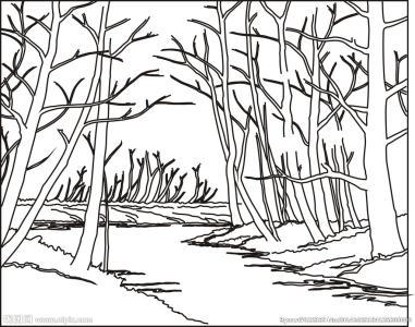 白桦树简笔画步骤