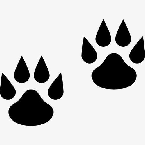 关键词 : 动物,猫,爪子印