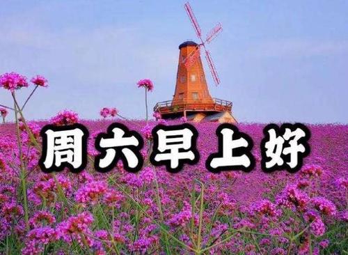 周末早安励志的句子,句句阳光正能量,送给努力拼搏的你