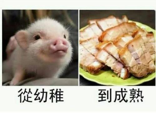 每日一笑:从幼稚到成熟,我经历了太多,连味道都不一样