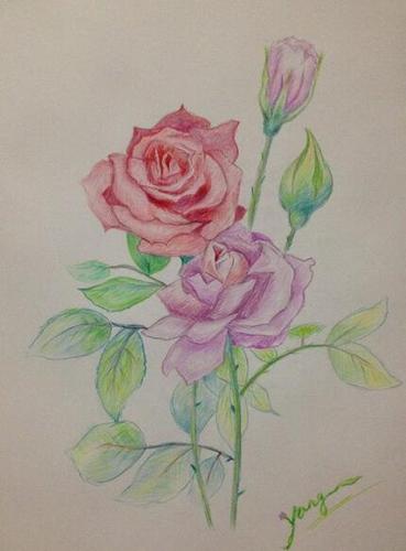 画彩铅画用什么纸好 几种彩铅画纸的优劣介绍