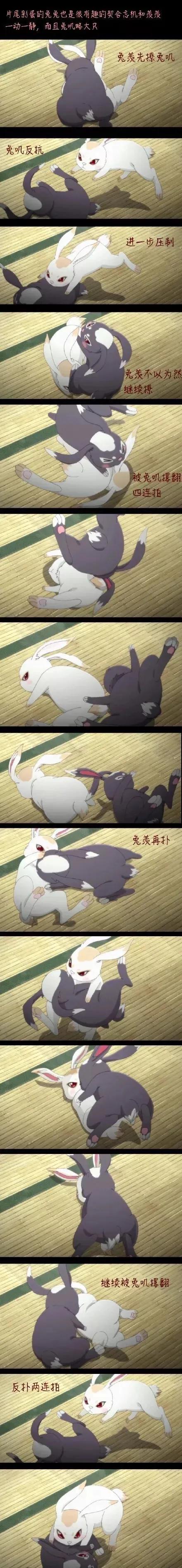 魔道祖师动画:阅读理解满分