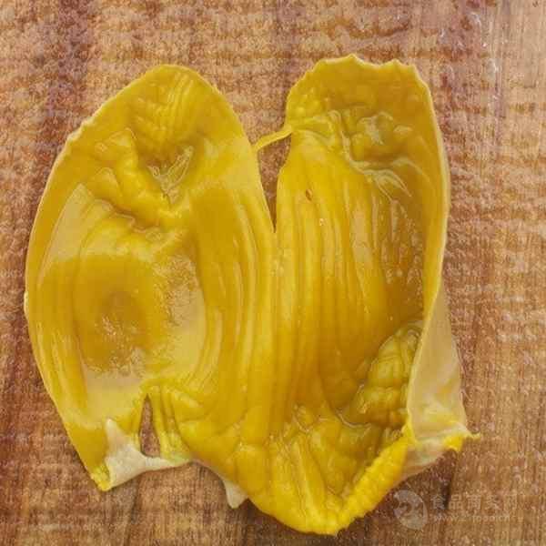 鸡内金粉 鸡内金浓缩粉 森冉生物