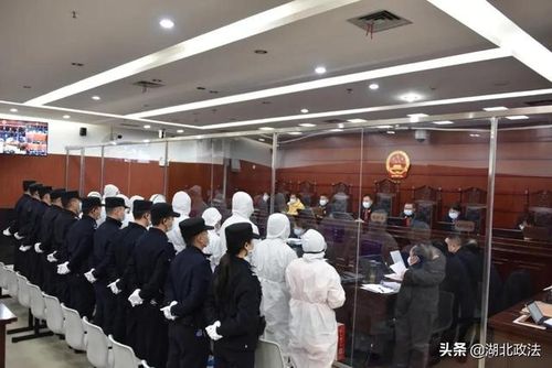 因工程款纠纷,男子被人枪击截肢,后带人枪杀对方,襄阳一涉恶案开庭