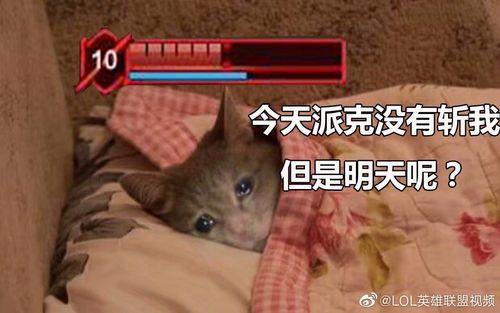 派克系列表情包图源网络