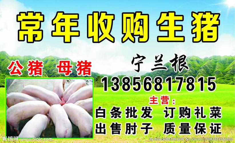 收购生猪设计图__名片卡片_广告设计_设计图库_昵图网