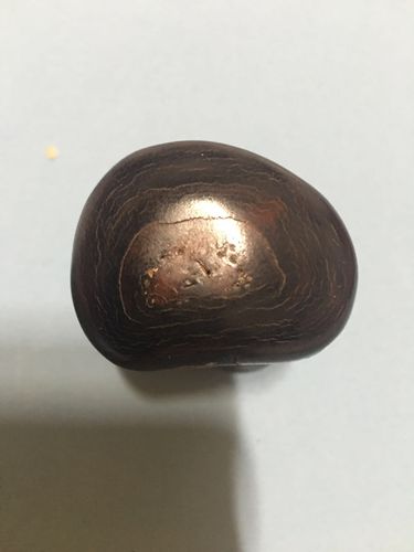 这是牛角还是犀牛角呢?