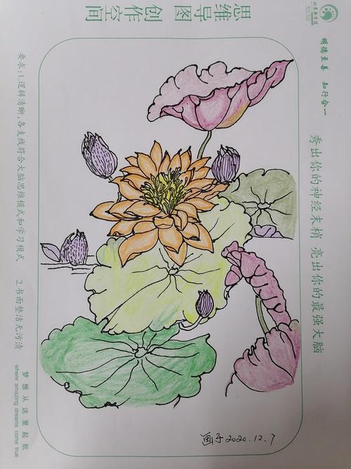 彩铅绘画初作乐园