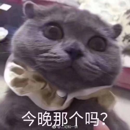 撩男朋友表情包