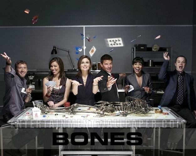 《识骨寻踪》(bones)