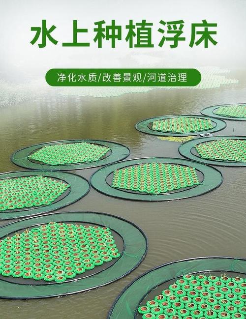 人工生态浮岛水上种植浮床鱼塘水面种菜浮板水培蔬菜水稻浮盘