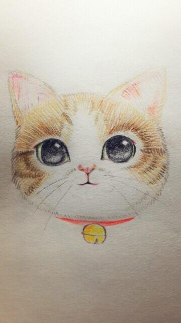 临摹的彩铅猫咪