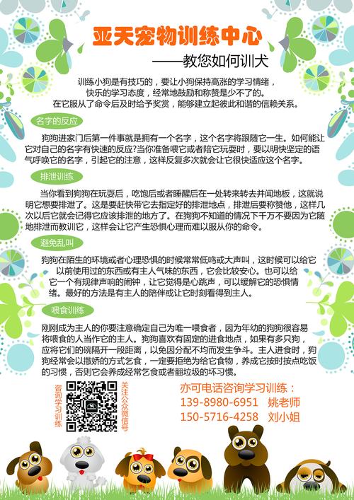 简单宣传如何基础训犬杭州 |                