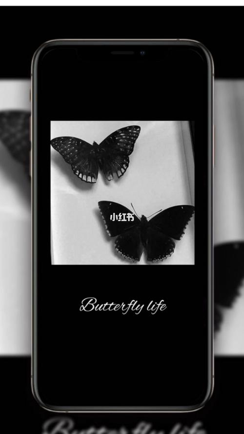 禁欲系壁纸_壁纸_卡通_治愈系_少女心_手机壁纸_壁纸分享_素材_壁纸