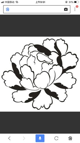 牡丹花简笔画步骤(图解) 牡丹花怎么折