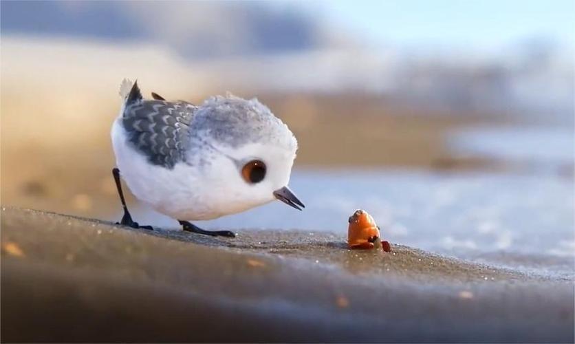 00:00 06:04 06:04 为您推荐: 奥斯卡获奖动画短片《鹬》 超高清,以为