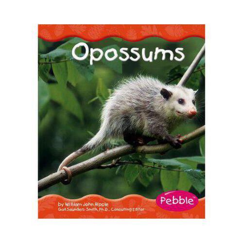 【预订】opossums 进口原版