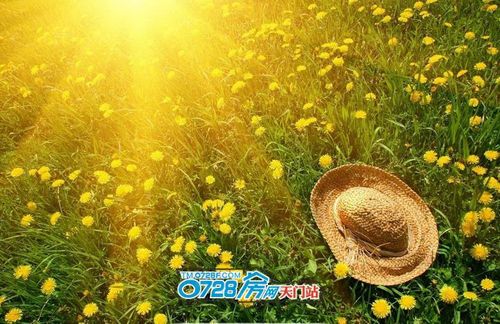 感叹生活的美好