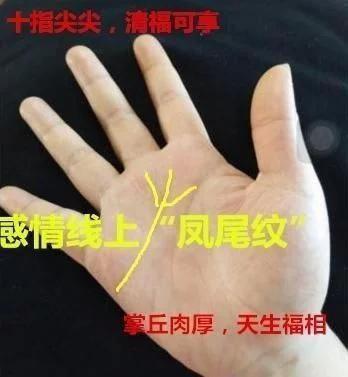 手相中出现凤尾纹的人,一生婚恋运气极好,特别代表婚后能够改变命运.