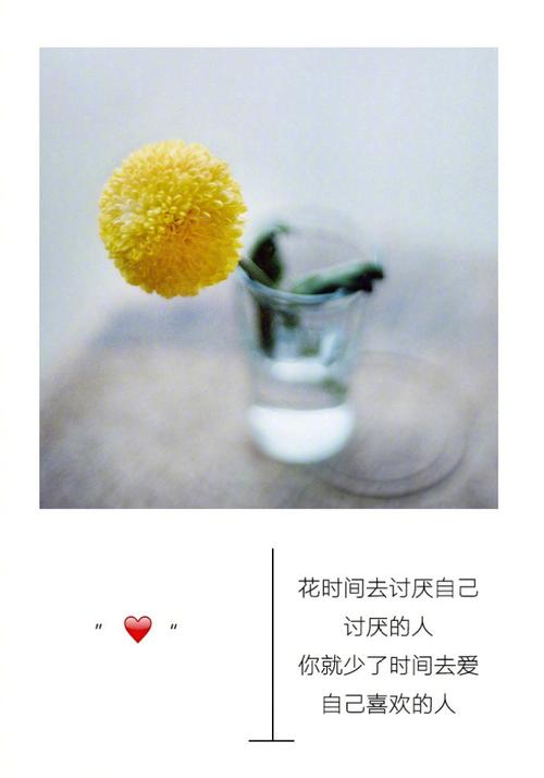 我不聪明,但我肯定不傻.很多事,我都能看明白.只是不想说而已.