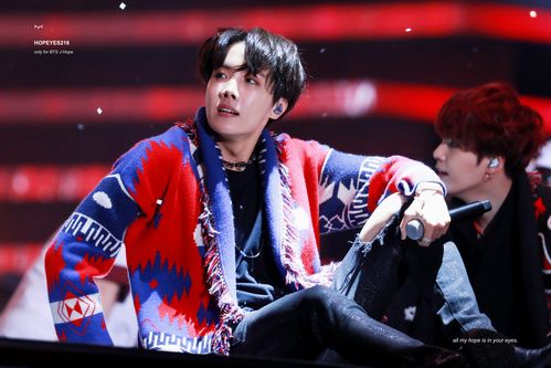bts jhope 郑号锡 - 堆糖,美图壁纸兴趣社区