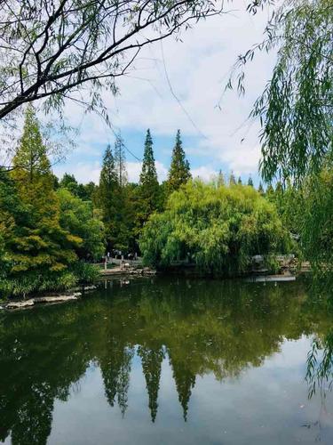 瀛洲公园-"去崇明岛玩 路过了这个免费小公园 基本被.