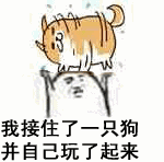 玩耍开心高兴我接住了一只狗gif动图_动态图_表情包
