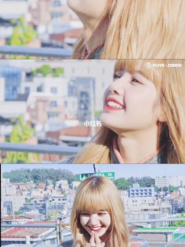 超好看的lisa女神壁纸_壁纸_今日壁纸_影视_明星娱乐