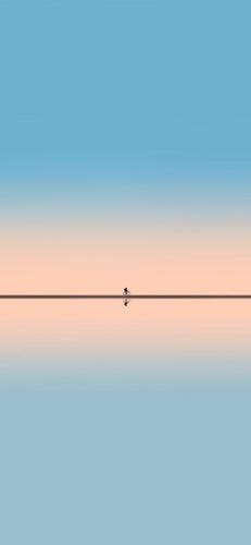 壁纸极简,适合深夜思考,适合独立出发时