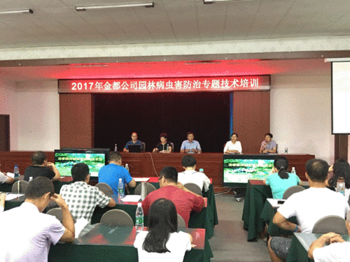 哪儿有专业的景观工程|价格合理的金都