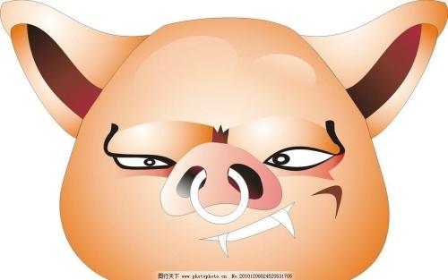 [图]猪头睡觉吐舌头图片猪头图片猪头厕沟图片