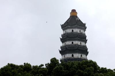 安徽安庆:振风塔遭暴雨突袭受损