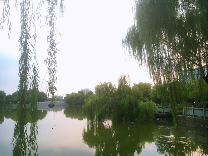 美丽大灌南,风景不错噢!