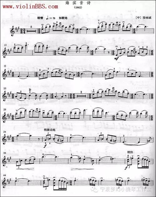 《海滨音诗》小提琴谱曲 盛中国演奏
