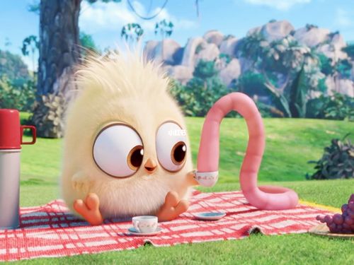 当小鸡和蚯蚓成为了好朋友06_宠物_影视_动漫